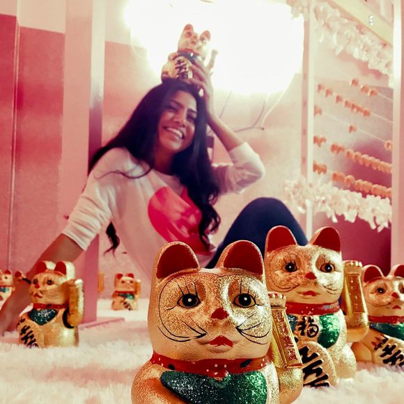 Meet your Posher, Ari - Picture 1 of 1